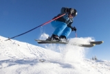 Sport